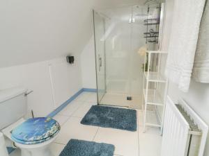 a bathroom with a shower and a toilet with blue rugs at 59 Nursery Avenue in Coleraine +42 photos