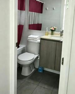 a bathroom with a toilet and a sink at Departamento Centro Iquique in Iquique