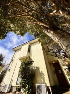 a white house with a door and a tree at トラストメゾン荻 in Ito
