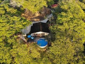 an overhead view of a house in the woods at GuanaGlamp in Tamarindo