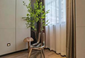 a pair of chairs and a plant in a room at Xi'an Jing - Scenery Hotel in Xi'an