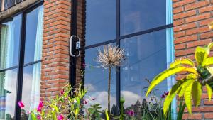 a window with a plant in front of it at Habitacion corralito in San Jose del Pacifico
