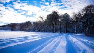 a snow covered road with footprints in the snow at Refugio de montaña Küme Mongüen in Malalcahuello +8 photos