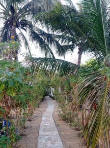 a path through a garden with palm trees at FR Resort in Pottuvil