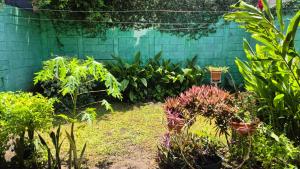 a garden with plants in pots next to a wall at Residencial Acropolis in Sonsonate
