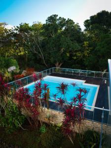 a swimming pool in a garden with plants at Le Pacifik Kone in Koné