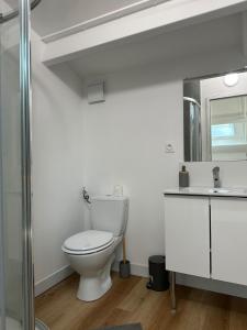 a white bathroom with a toilet and a sink at LOFT cosy in Poitiers +14 photos
