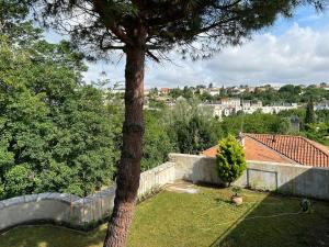 a tree in the yard of a house at LOFT cosy in Poitiers