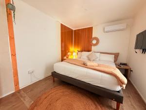 a bedroom with a large bed with a brown rug at Casa Withe opción jacuzzi estadía villa alemana in Villa Alemana +6 photos