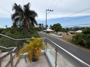 a balcony with a palm tree on the side of a road at Aparta hotel doble in Higuey