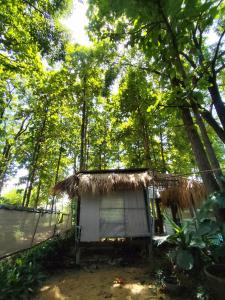 a small shack next to a river with trees at Slove U House in Khon Kaen