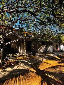 a house with a tree in front of it at Footmark Surf Stay in Pottuvil
