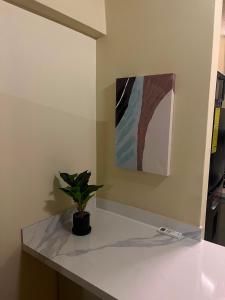 a potted plant sitting on a counter in a room at Exclusiva suite en Hotel Marbellamar in Pampatar +8 photos