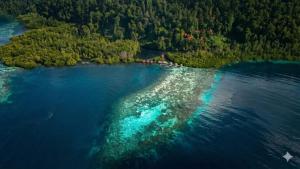an aerial view of an island in a body of water at Mangrove Reef Guest House in Airborei