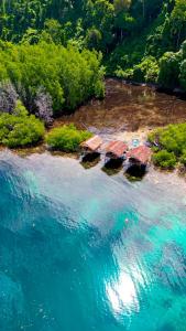 an aerial view of a body of water with houses at Mangrove Reef Guest House in Airborei