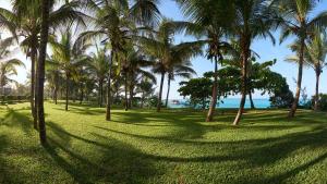 a group of palm trees in a park with the ocean at Meliá Zanzibar in Kiwengwa +187 photos