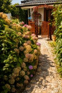 a hedge of flowers in front of a house at Apartment Baci in Rose resort in Ljubljana