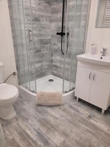 a bathroom with a shower and a toilet and a sink at Bobrowe zacisze in Wleń