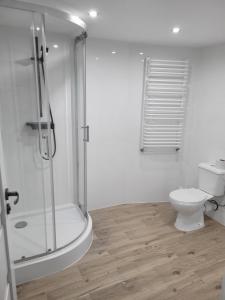 a bathroom with a shower and a toilet at Bobrowe Zacisze in Wleń