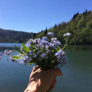 a hand holding a bouquet of purple flowers next to a lake at Jafaridzeebtan in Oni