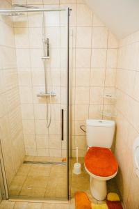 a bathroom with a shower and a toilet with a glass door at Apartmány Bistár in Zuberec