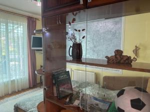 Gallery image of Зелена Вілла -басейн,тераса, квіти, сад in Uzhhorod