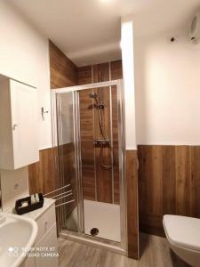 a bathroom with a shower and a toilet and a sink at Solimmo in Temù +34 photos