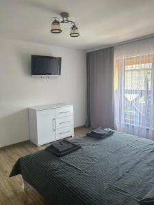 a bedroom with a bed and a tv on the wall at Anamyra in Mizhhirya +17 photos