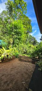 a view from a train of a yard with trees at Ceylon Shine in Kandy