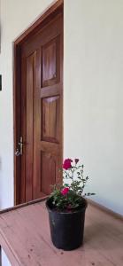 a potted plant sitting on a table in front of a door at Ceylon Shine in Kandy