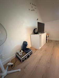 a living room with a dog sitting on a floor at La chambre de Gray in Gray