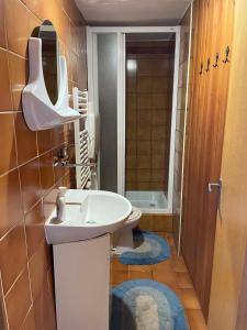 a small bathroom with a sink and a toilet at Chata na Polane in Vyšné Hágy
