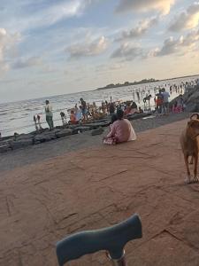 a person sitting on the beach with a dog at Grantley -Beach hotel Alibag in Alībāg +7 photos