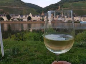 a person holding a glass of white wine at Moselfrische in Zell an der Mosel
