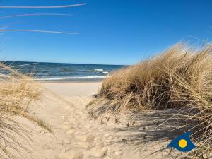 a sandy beach with tall grass and the ocean at Bernsteinquartier Whg 11 "Inselglück" in Kölpinsee +15 photos