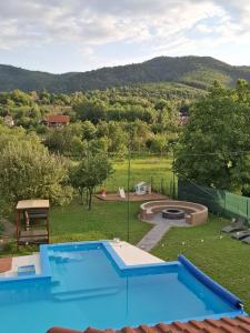 a swimming pool with a view of a yard at VILA COCA Sibiu in Sălişte