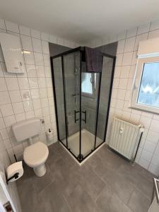 a bathroom with a toilet and a glass shower at Auszeit am Brunnen in Mendig +5 photos