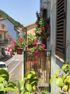 a bunch of flowers in pots on a building at Casa Vacanza Finalmente in SantʼAngelo le Fratte