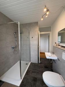 a bathroom with a shower and a toilet and a sink at Foundry ONE LoftQuartier in Jugenstilvilla in Wittlich +15 photos