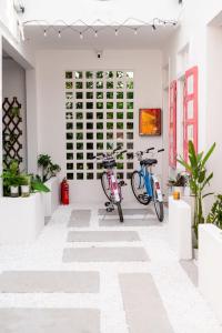 two bikes parked in a room with plants at An Du Boutique Stay in Dong Hoi