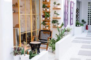 a room with potted plants on the wall at An Du Boutique Stay in Dong Hoi