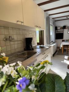 a kitchen with a sink and a counter top at Ferienhaus Klöber in Lichtenhain