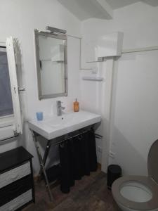 a bathroom with a sink and a toilet and a mirror at Le chalet de la tranquillité ! in Parignargues +6 photos