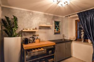 Luxury Apartments No. 91 tesisinde mutfak veya mini mutfak