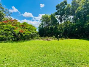 a field of green grass with trees in the background at Garden Studio - Tranquil Forest Retreat in Currumbin Valley +8 photos