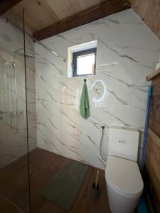 ein Badezimmer mit Toilette und Dusche in der Unterkunft Chalet SOFI in Šavnik