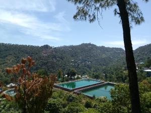 a swimming pool with a mountain in the background at The Sanmit Stay Kasauli by Splendid Retreat Hotels in Kasauli