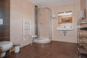 a bathroom with a shower and a toilet and a sink at Landhaus Rieding in Mühlbach am Hochkönig +31 photos