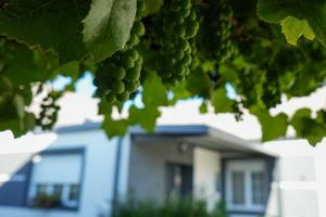 a bunch of green grapes hanging from a tree at Kuća za odmor BARBARELLA - prostrani 2BR apartman, parking & WiFi in Čakovec