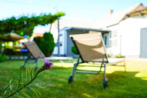 two chairs sitting in the grass in a yard at Kuća za odmor BARBARELLA - prostrani 2BR apartman, parking & WiFi in Čakovec